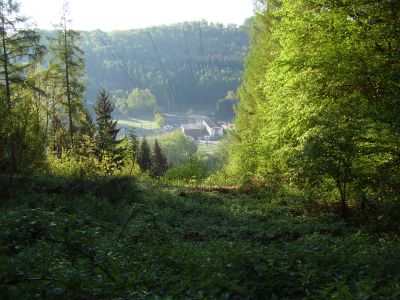 4-Grenzlinie am Steinenschloss_5_400